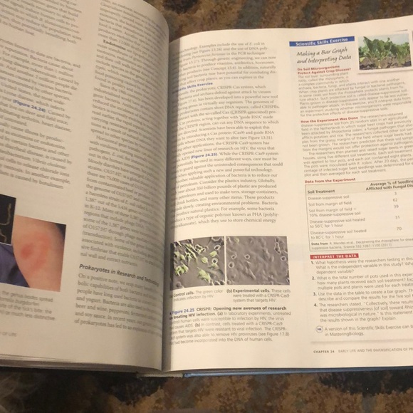 Biology Second Edition Campbell Textbook - Picture 2 of 3